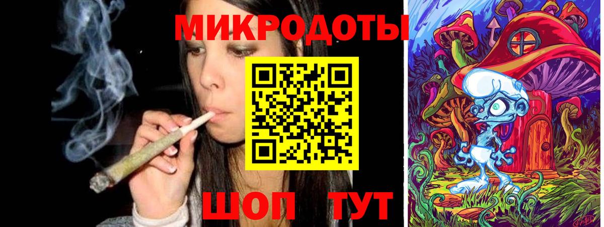 Псилоцибиновые грибы Psilocybine cubensis Тверь