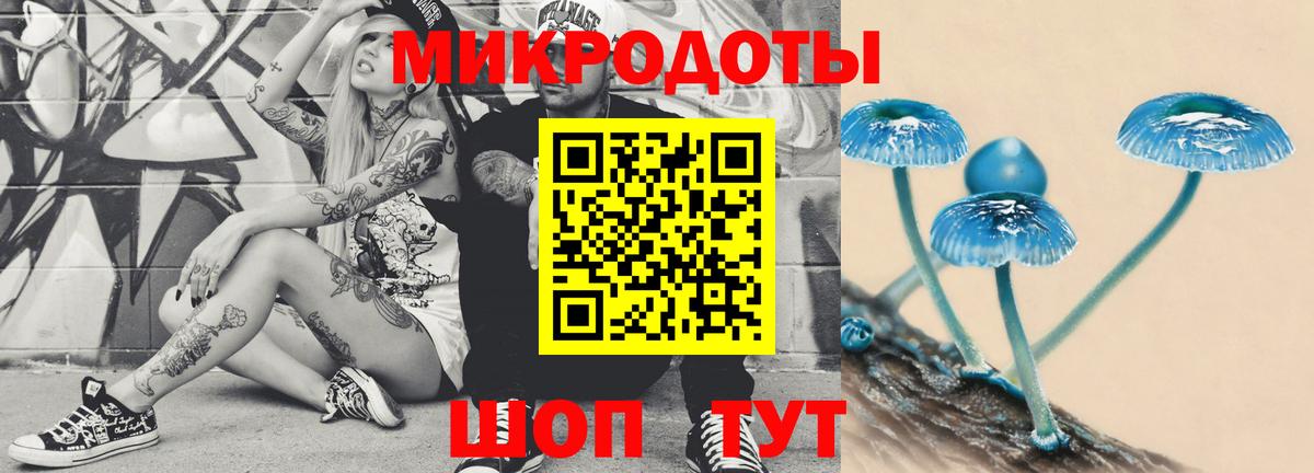 Галлюциногенные грибы Psilocybine cubensis  Псилоцибиновые грибы прущие грибы  Тверь  Вход с VPN 